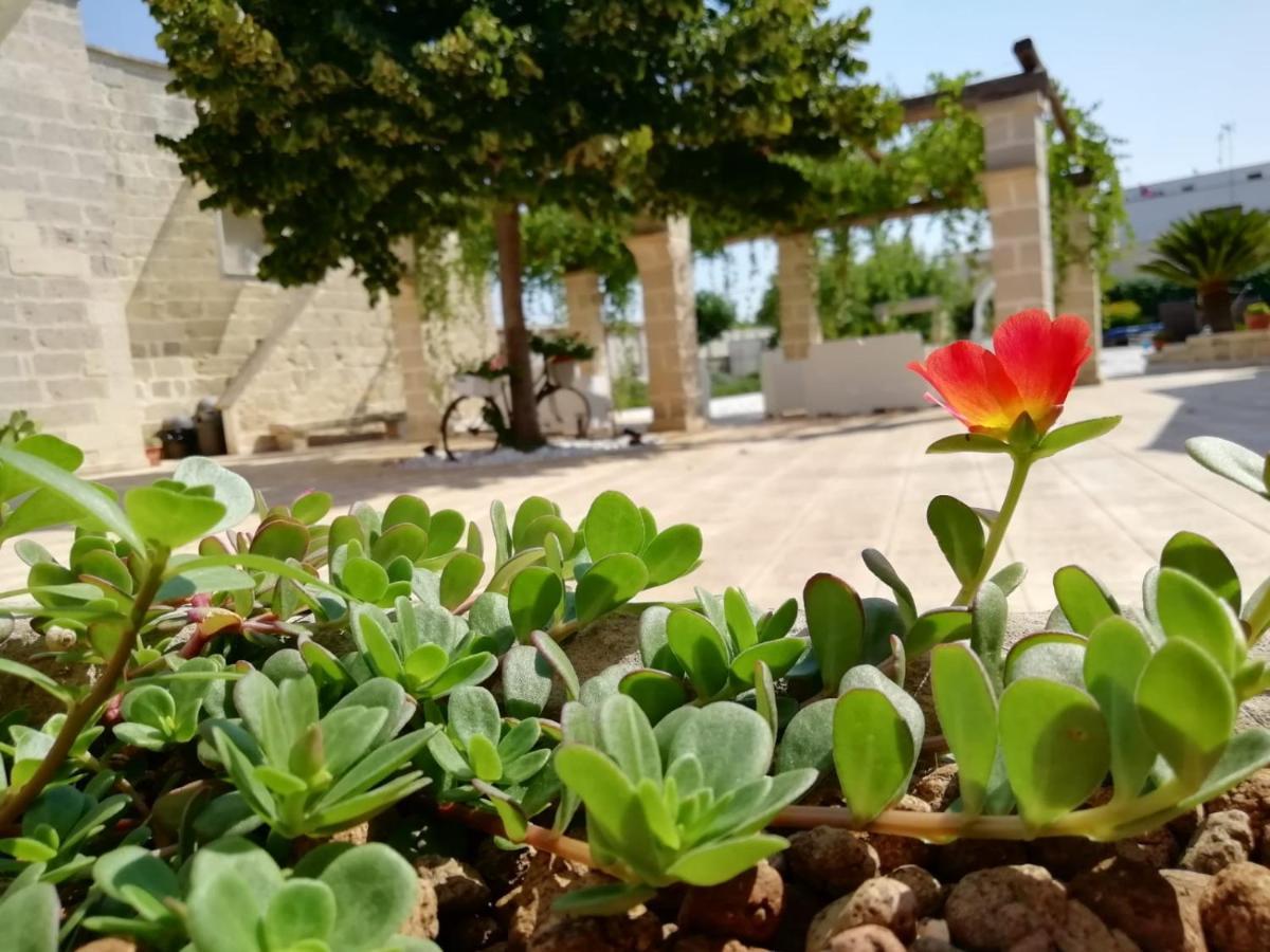 Bed and Breakfast Il Giardino Del Tiglio Уджано-ла-К'єза Екстер'єр фото
