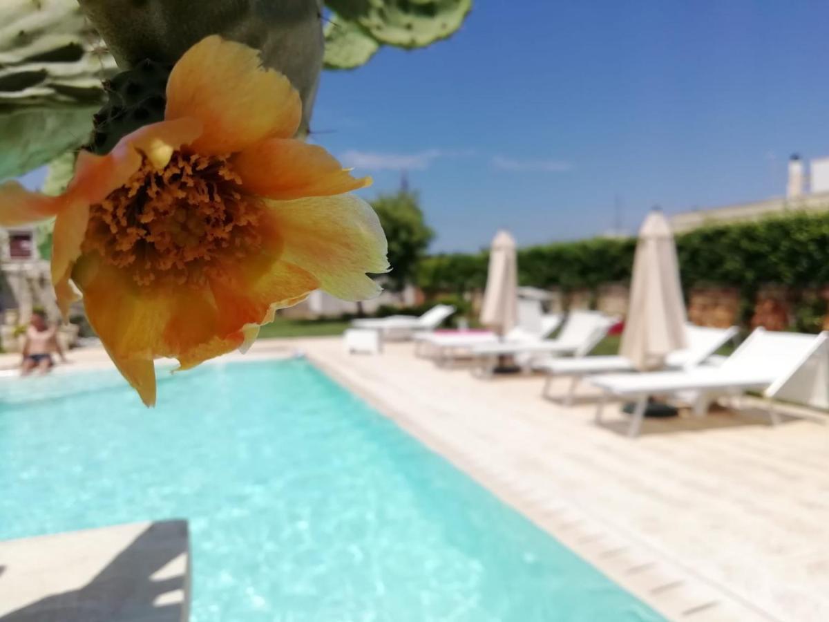 Bed and Breakfast Il Giardino Del Tiglio Уджано-ла-К'єза Екстер'єр фото