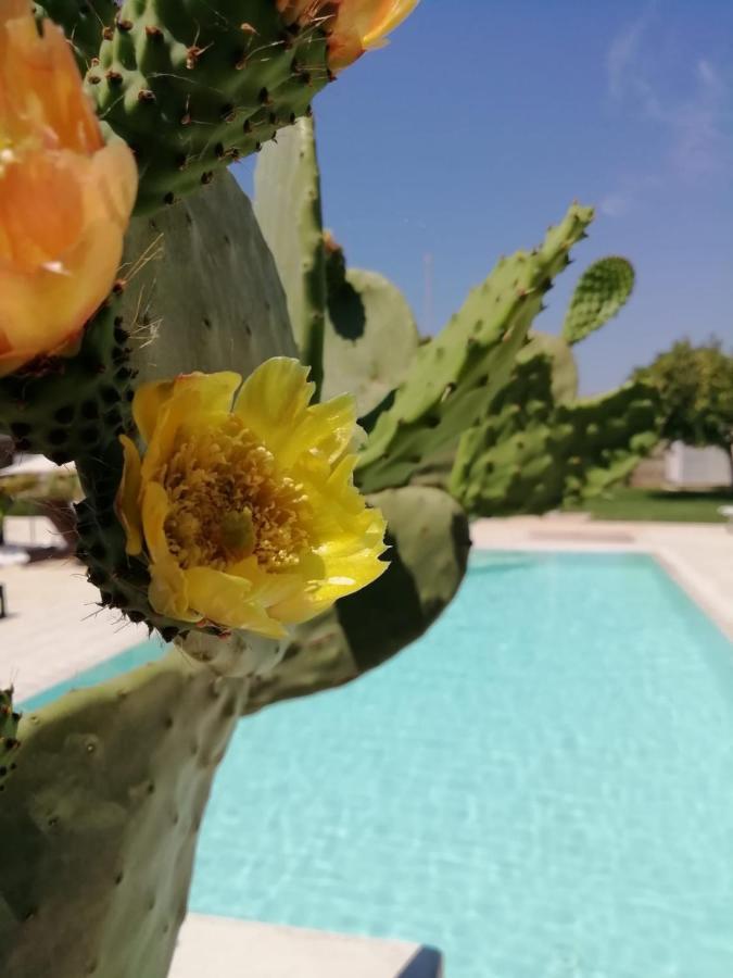 Bed and Breakfast Il Giardino Del Tiglio Уджано-ла-К'єза Екстер'єр фото