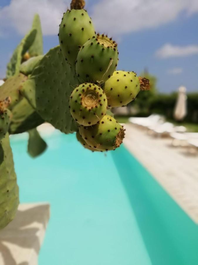 Bed and Breakfast Il Giardino Del Tiglio Уджано-ла-К'єза Екстер'єр фото